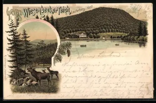 Lithographie Bad Lauterberg, Partie am Wiesenbeeker Teich