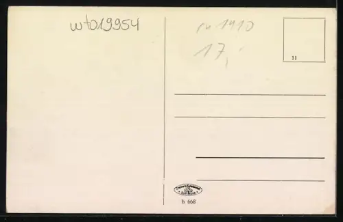 AK Uelzen, Gasthaus Fischerhof bei Mondschein