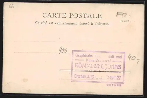 AK Pau, Vue panoramique sur la ville et le pont surplombant la rivière