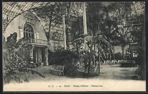 AK Pau, Palais d`Hiver, Palmarium