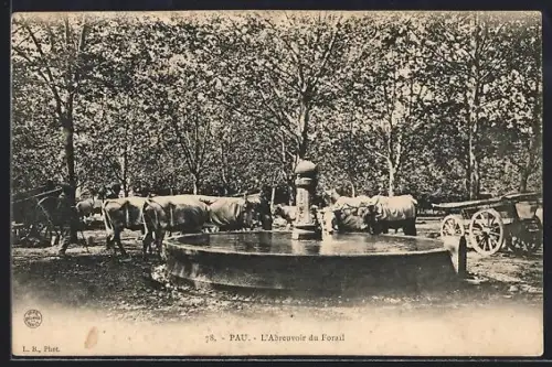 AK Pau, L`Abreuvoir du Foirail