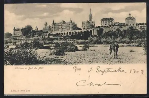 AK Pau, Château et Bvd. du Midi