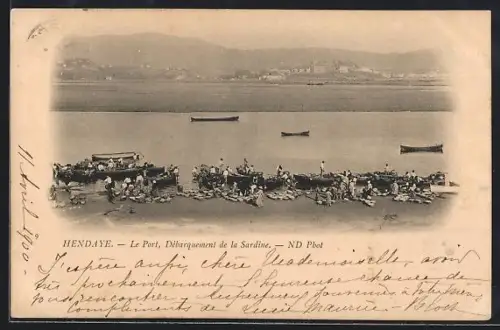 AK Hendaye, Le Port, Débarquement de la Sardine