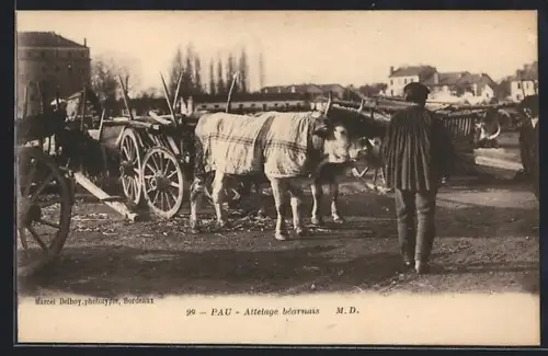 AK Pau, Attelage béarnais
