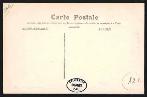 AK Pau, Rue Carnot animée avec passants et bâtiments historiques