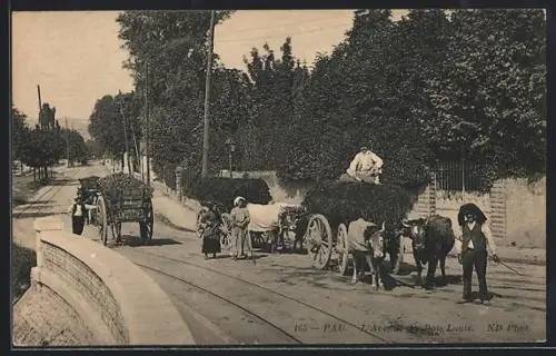 AK Pau, L`Avenue de Bois-Louis avec charrettes de foin et passants