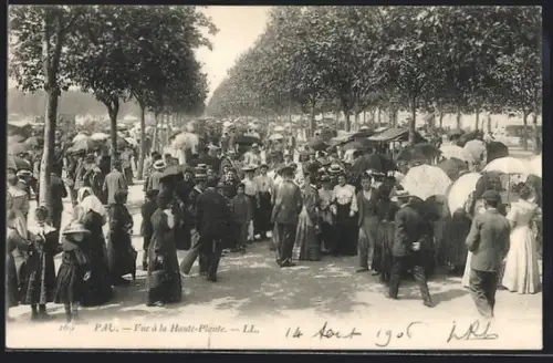 AK Pau, Vue de la Haute-Plante, foule animée sous les arbres