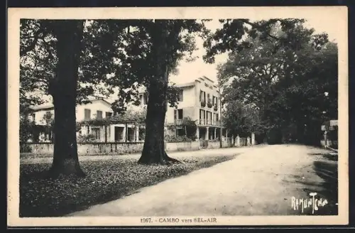 AK Cambo, Vers Bel-Air et la route bordée d`arbres