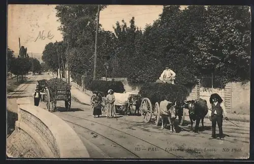AK Pau, L`Avenue de Bois-Louis avec chariots de foin et passants
