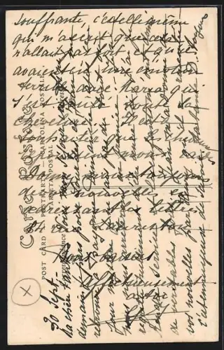 AK Salies-de-Béarn, L`Entrée du Pays avec une charrette et arbres majestueux