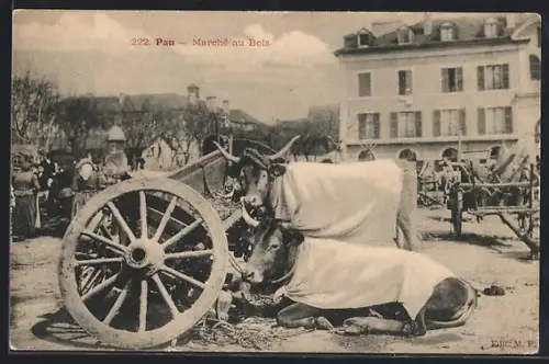 AK Pau, Marché au Bois