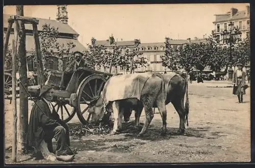 AK Pau, Attelage au Repos