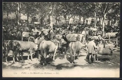 AK Pau, Le Marché aux Bestiaux