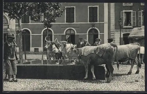 AK Pau, L`Abreuvoir du Marché au Bois