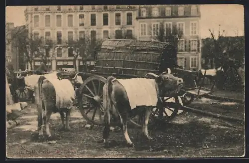 AK Pau, Place des Ecoles