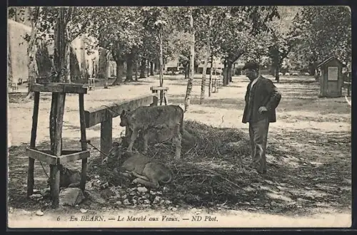 AK Pau, Le Marché aux Veaux
