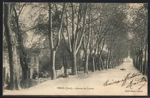 AK Vénès /Tarn, Avenue de Castres