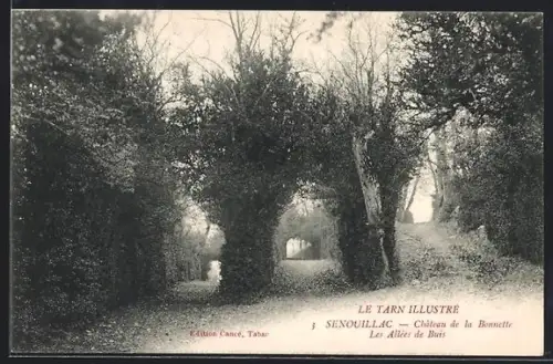 AK Senouillac /Tarn, Château de la Bonnette, Les Allées de Buis