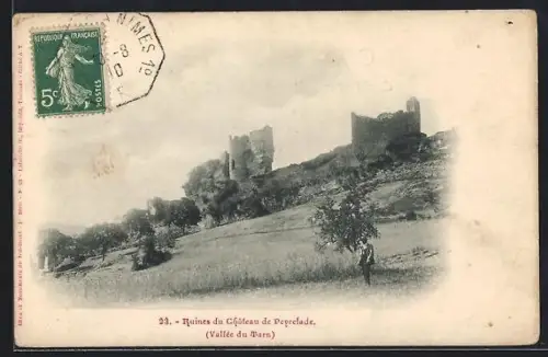 AK Peyrelade /Tarn, Ruines du Château de Peyrelade, Vallée du Tarn