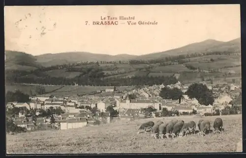 AK Brassac, Vue Générale avec troupeau de moutons et collines en arrière-plan