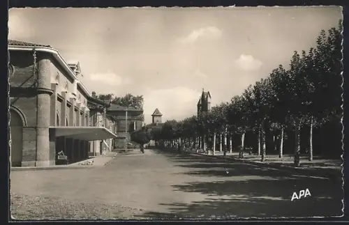 AK Rabastens /Tarn, La Promenade avec arbres alignés et bâtiments en arrière-plan