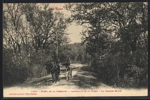 AK Grésigne, Intérieur de la forêt, La Grande Route avec calèche