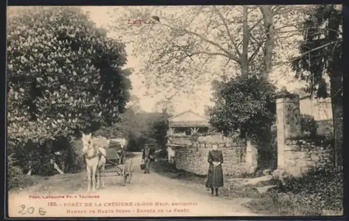 AK Haute Serre, Forêt de la Cresigne, Entrée de la Fôret