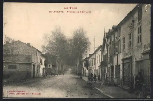 AK Briatexte, Avenue de Graulhet avec arbres et bâtiments adjacents
