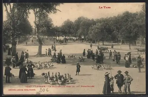 AK Lavaur /Tarn, Le Marché aux Oies et les Promenades