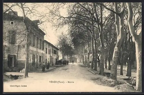 AK Vénès /Tarn, Mairie et avenue bordée d`arbres