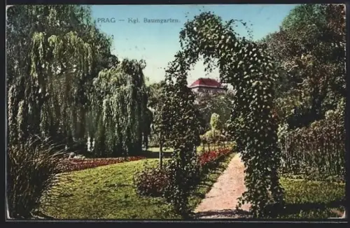 AK Prag / Praha, Königlicher Baumgarten