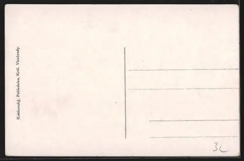 AK Prag / Praha, Pomník Fr. Palackýho