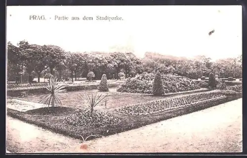 AK Prag / Praha, Partie aus dem Stadtpark