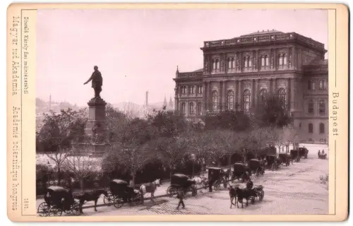 Fotografie Diwald Karoly, Budapest, Ansicht Budapest, Magyar tud Akademia