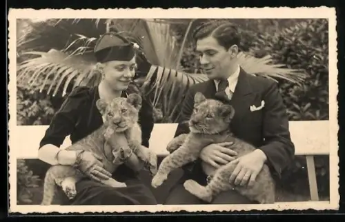 AK Dresdner Zoo, Junges Paar mit Löwenbabys