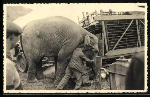 Foto-AK Zwei Arbeiter mit einem Elefant auf gewerblichem Gelände