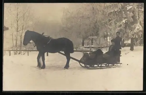 Foto-AK Paar im Pferdeschlitten in einem Park