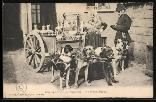 AK Attelages de chiens flamand, Le procès verbal
