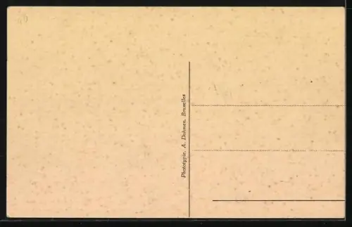 AK Anvers, Laitier flamand