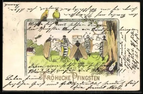 AK Maikäfer musizieren auf einer Wiese, Pfingstgruss