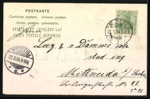 AK Maikäfer musizieren auf einer Wiese, Pfingstgruss