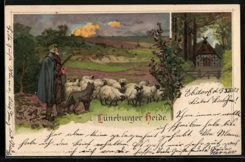 AK Heidschnucken in der Lüneburger Heide, Fachwerkhaus