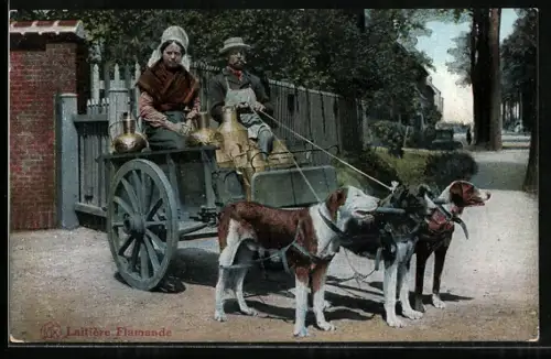 AK Laitière Flamande, Hundegespann zum Milchtransport
