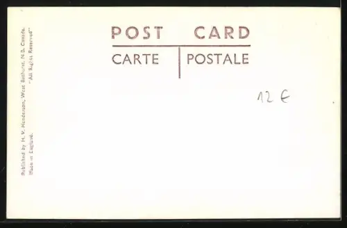 AK Caspe, P. Q., Hauling Potatoes by Dog Cart