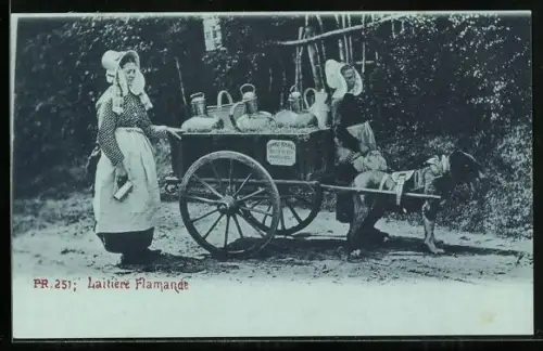 AK Laitiere Flamande, Hundegespann