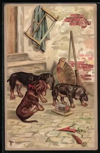 AK Drei Dackel beäugen eine Maus in der Falle auf einem Gehöft