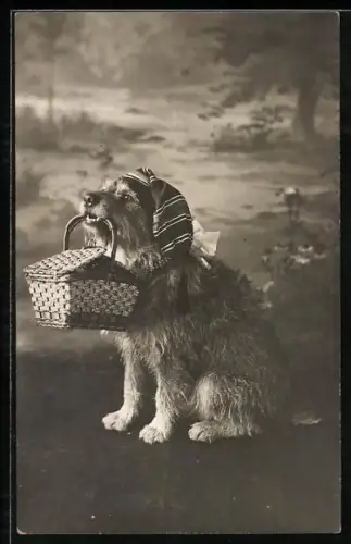 Foto-AK Terrier mit Körbchen vor Landschaftskulisse