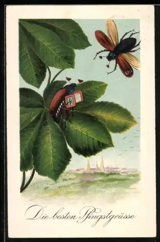 AK Maikäfer mit Briefmarken auf einem Blatt