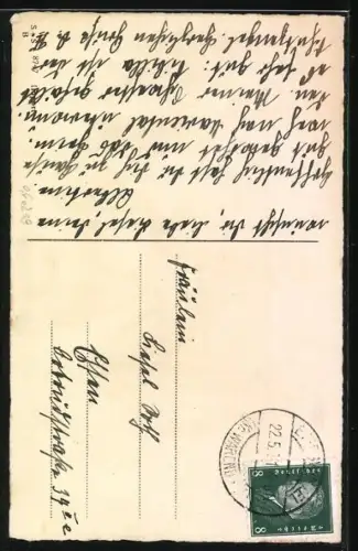 AK Maikäfer sonnt sich mit Lektüre vor seinem Haus, Pfingstgruss