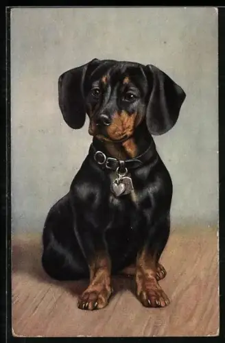 AK Dackel mit Herz am Halsband